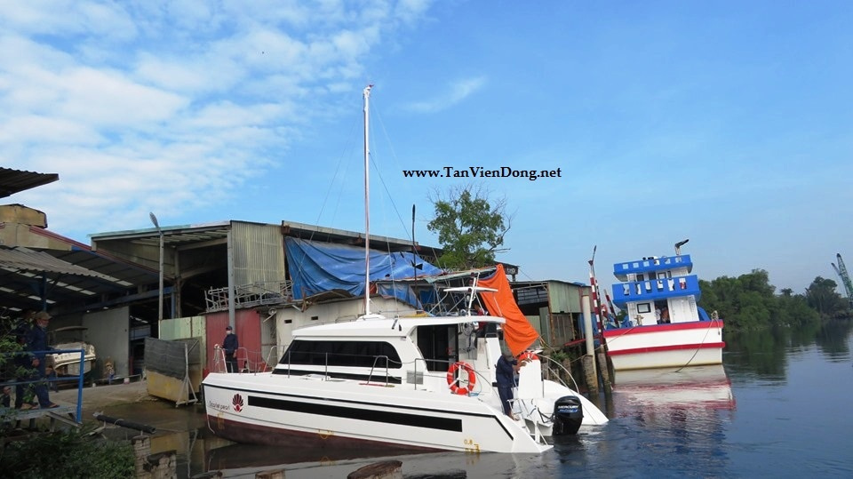 2019 Tan Vien Dong TVD-CATA1120SY_V2 for sale (photo 11)