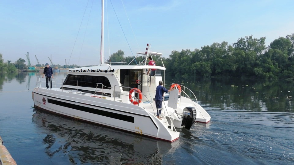 2019 Tan Vien Dong TVD-CATA1120SY_V2 for sale (photo 12)