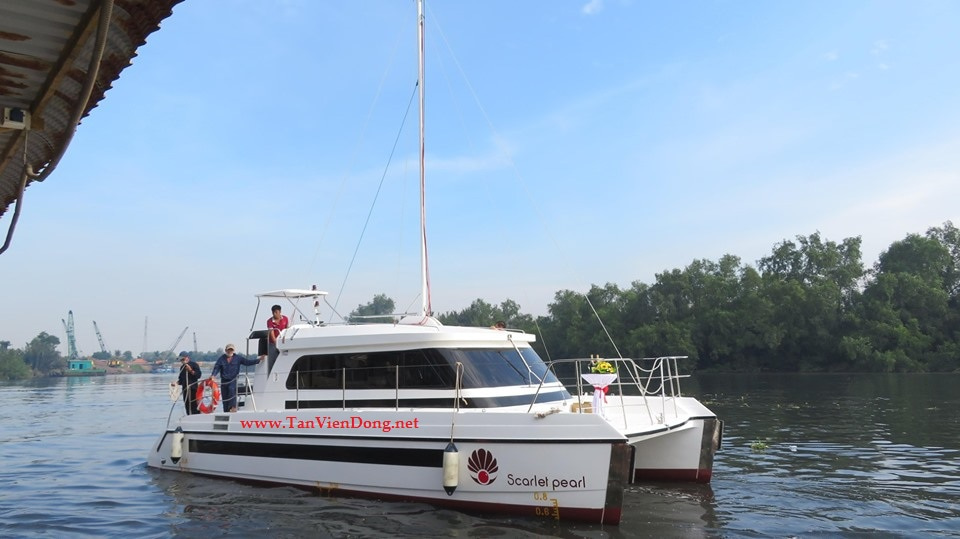 2019 Tan Vien Dong TVD-CATA1120SY_V2 for sale (photo 13)