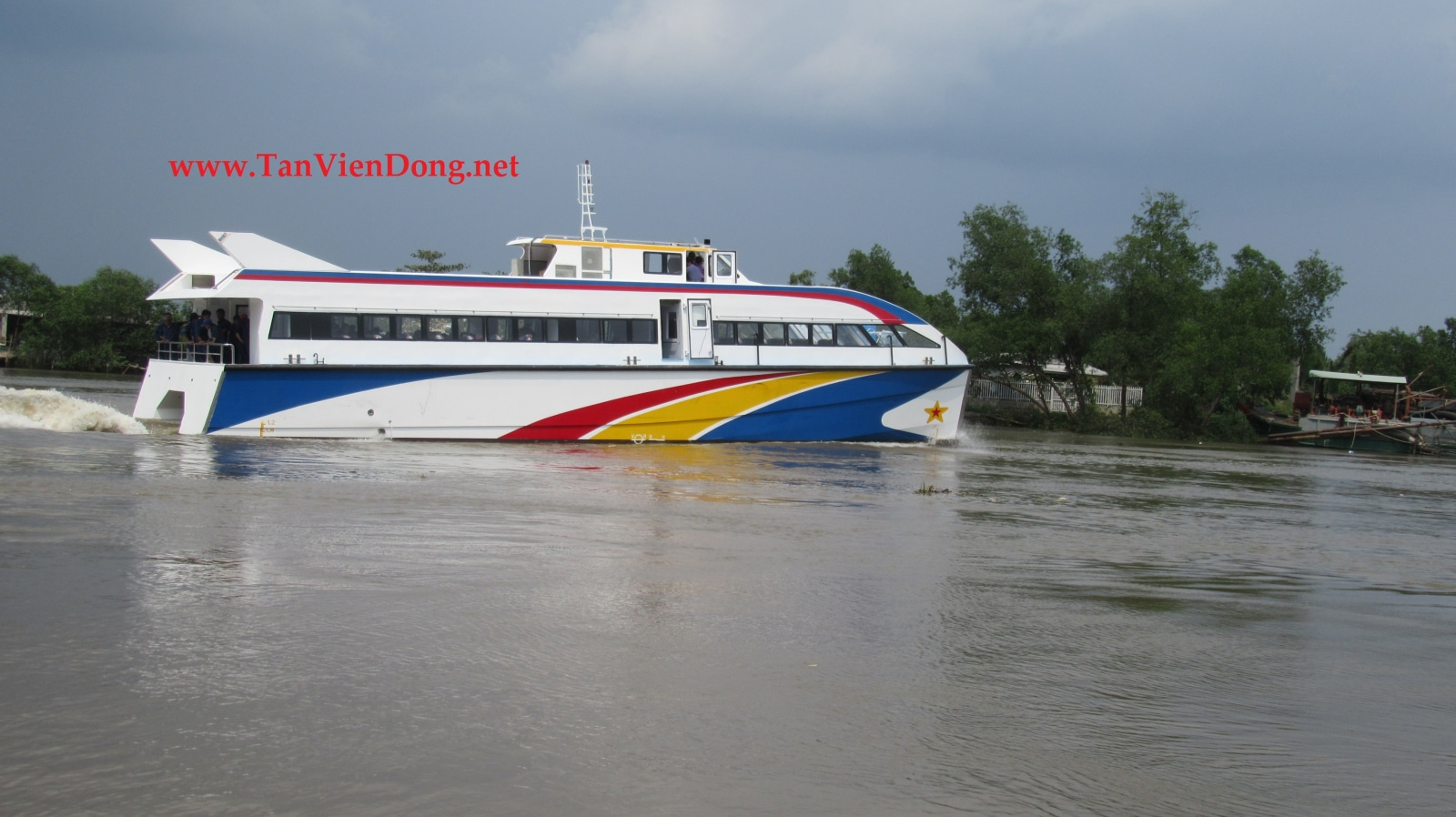 2019 Tan Vien Dong TVD-CATA2285 na sprzedaż (photo 3)
