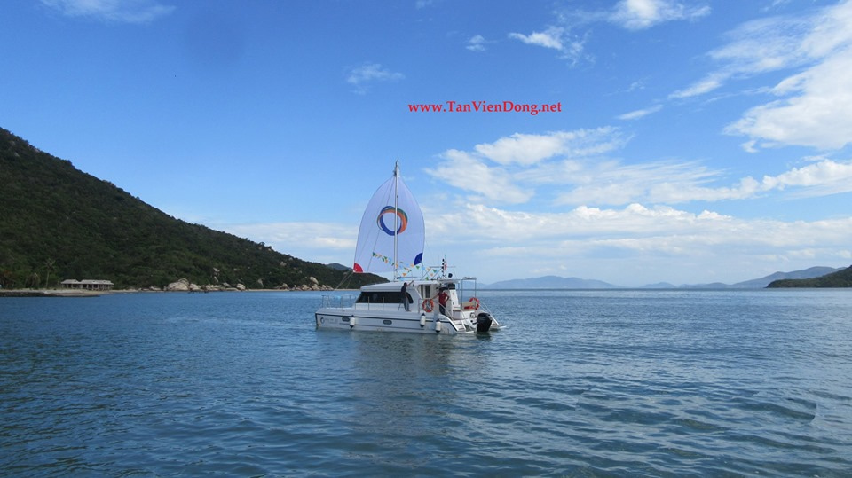 2019 Tan Vien Dong TVD-CATA1006SY zu verkaufen (photo 2)