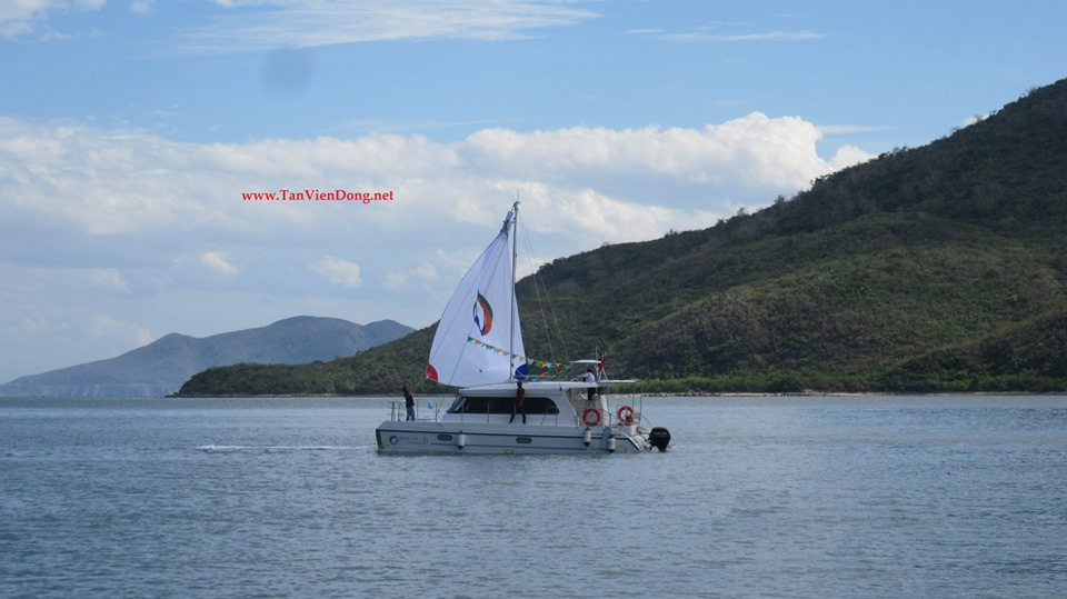 2019 Tan Vien Dong TVD-CATA1006SY zu verkaufen (photo 3)