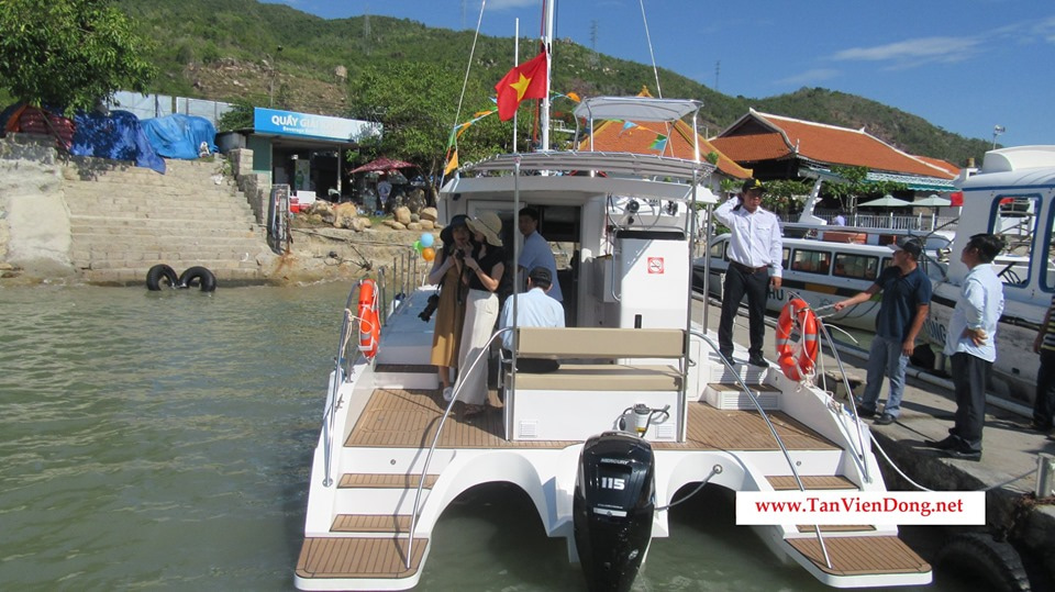 2019 Tan Vien Dong TVD-CATA1006SY zu verkaufen (photo 4)
