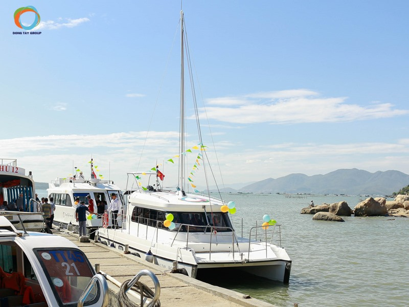 2019 Tan Vien Dong TVD-CATA1006SY zu verkaufen (photo 5)
