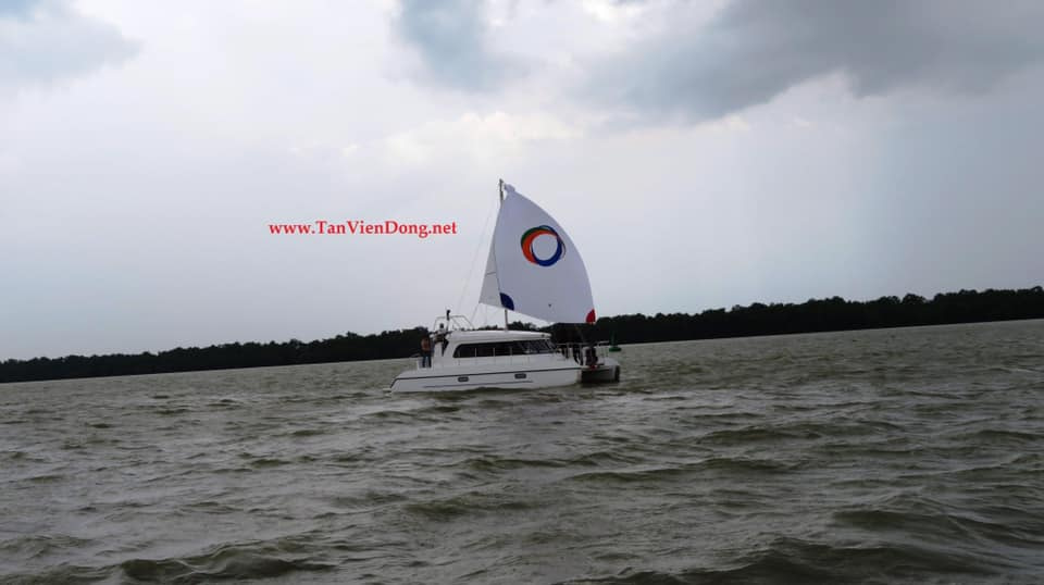 2019 Tan Vien Dong TVD-CATA1006SY zu verkaufen (photo 7)