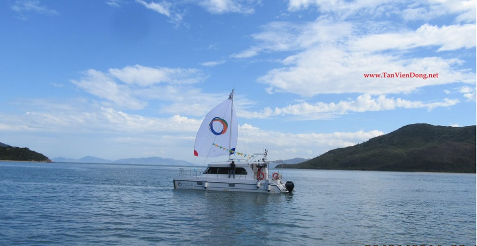 2019 Tan Vien Dong TVD-CATA1006SY zu verkaufen (photo 8)
