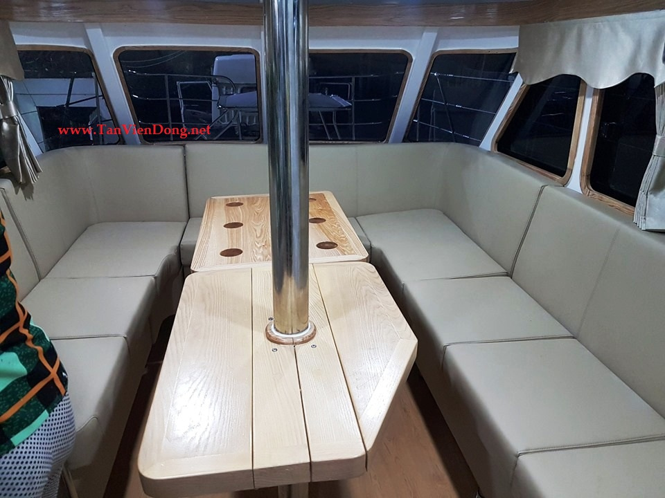 2019 Tan Vien Dong TVD-CATA1006SY zu verkaufen (photo 14)
