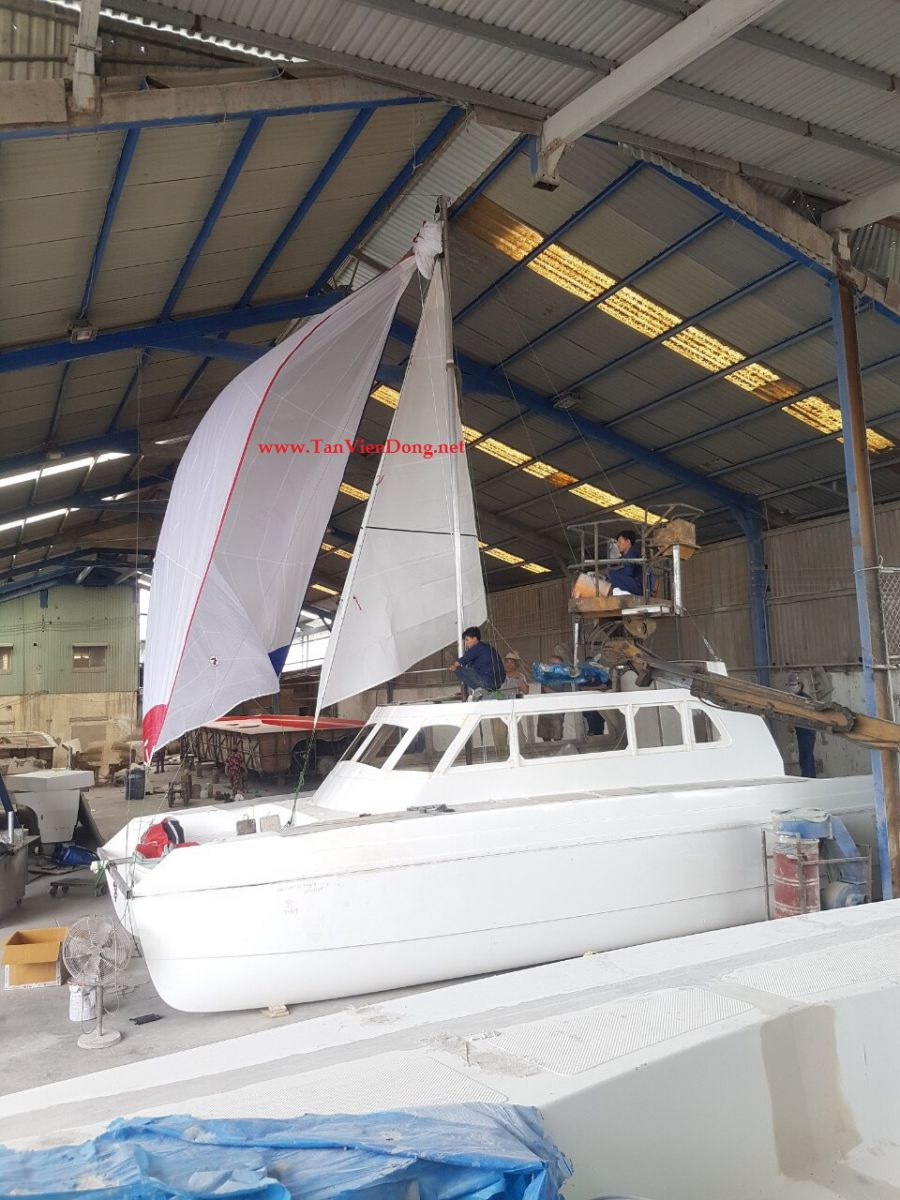 2019 Tan Vien Dong TVD-CATA1006SY zu verkaufen (photo 19)