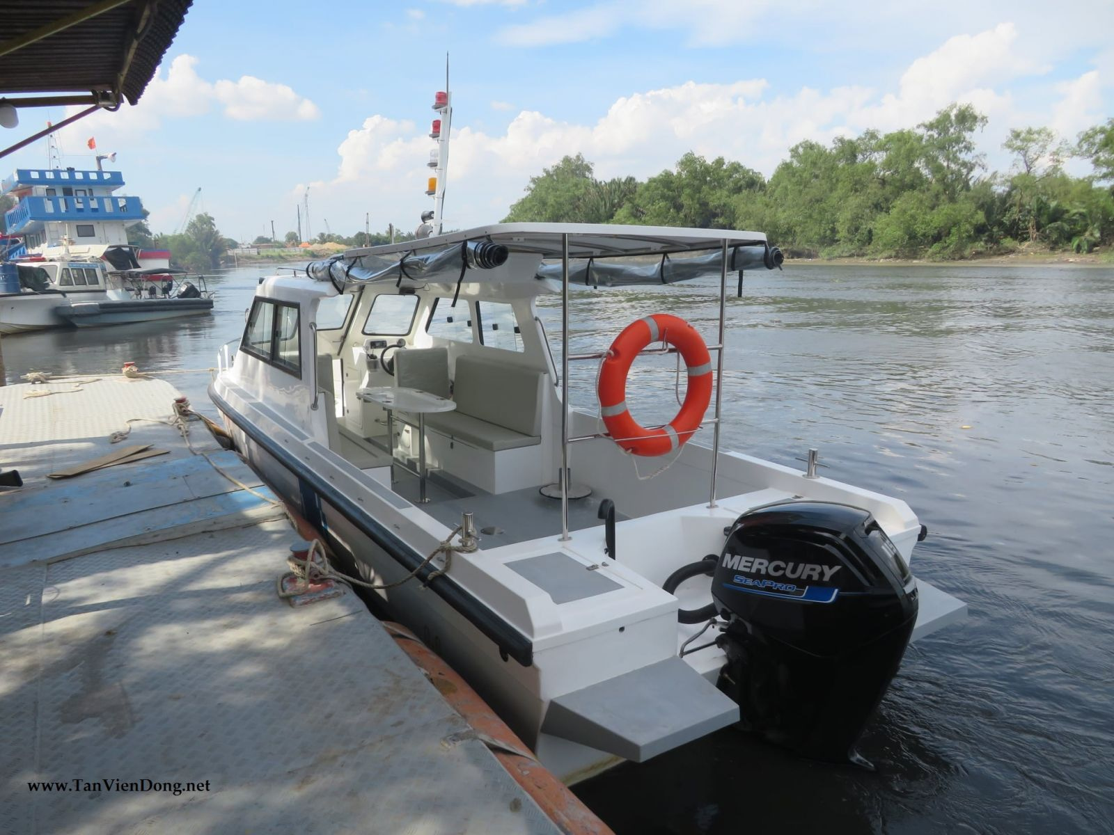 2023 Tan Vien Dong TVD-MX900 en venta (photo 6)