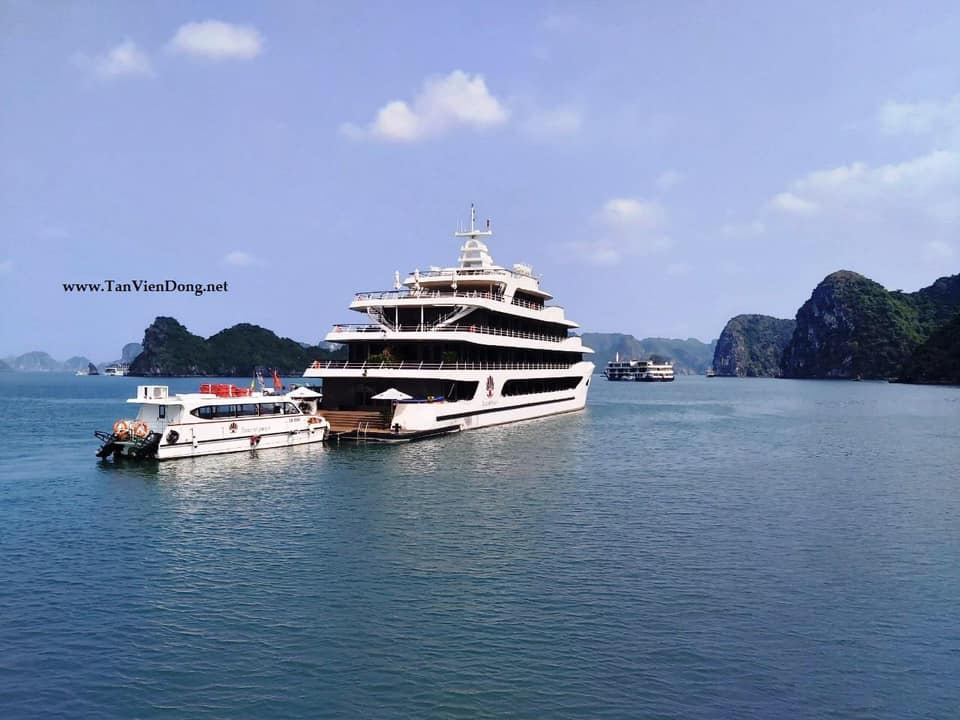 2019 Tan Vien Dong TVD-CATA1368 en venta (photo 3)