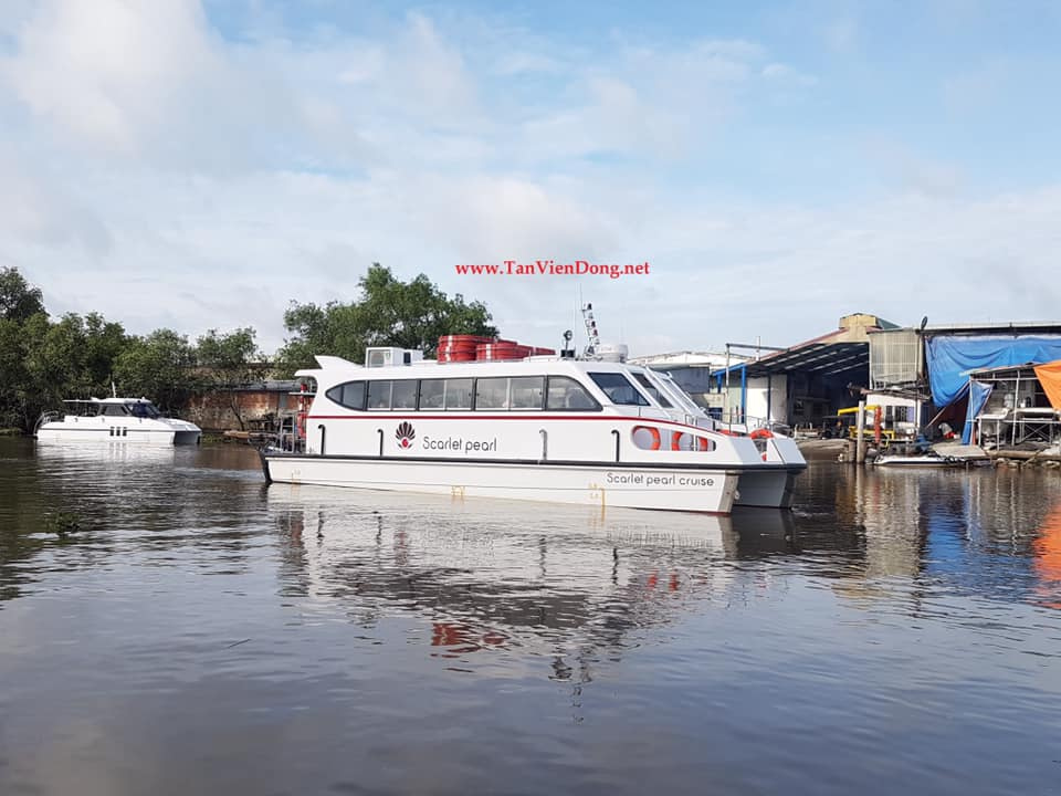 2019 Tan Vien Dong TVD-CATA1368 en venta (photo 5)