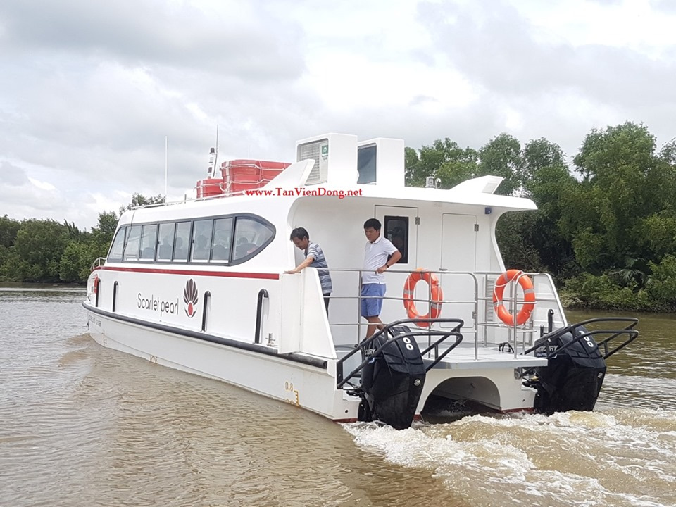2019 Tan Vien Dong TVD-CATA1368 en venta (photo 9)