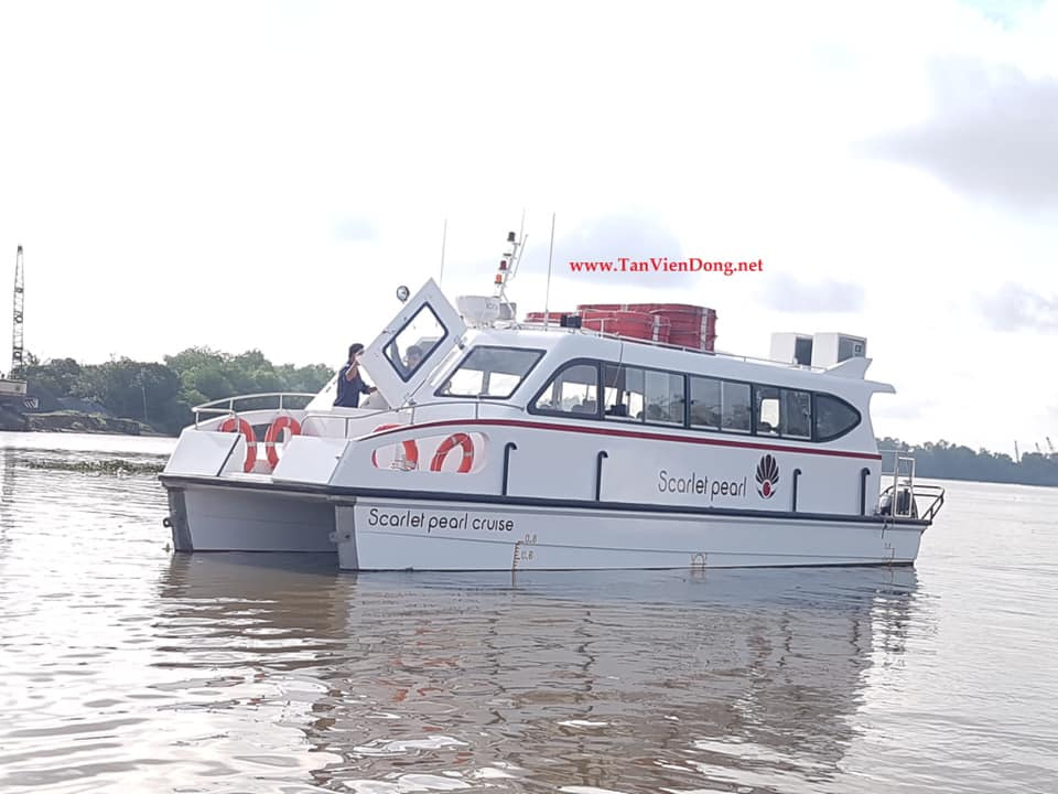 2019 Tan Vien Dong TVD-CATA1368 en venta (photo 10)