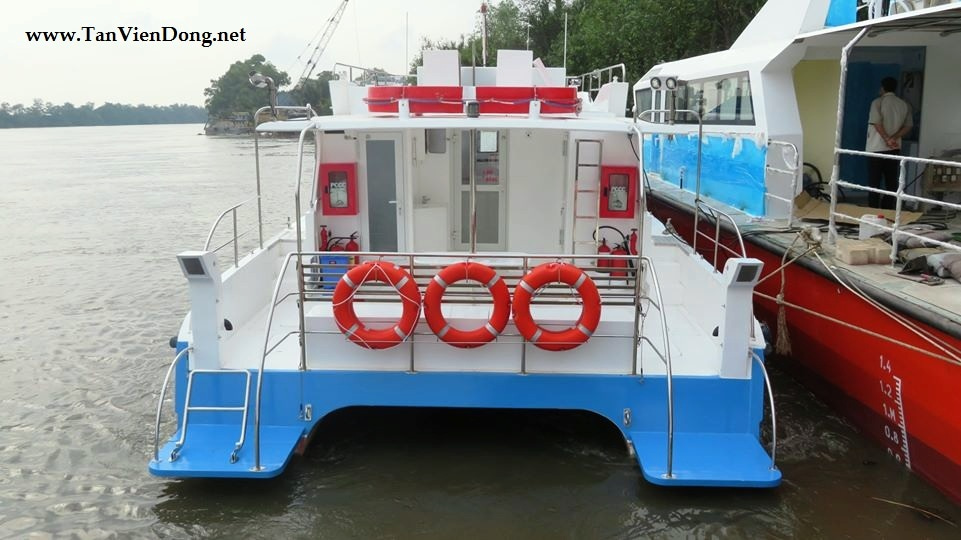 2023 Tan Vien Dong TVD-CATA1460 à vendre (photo 9)