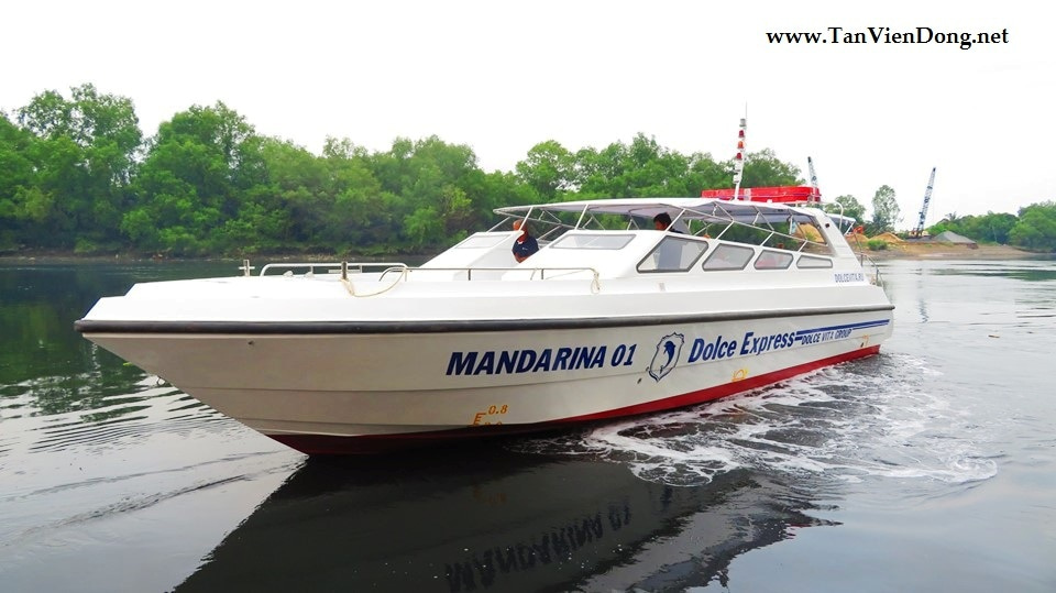 2023 Tan Vien Dong TVD-TER1385 en venta (photo 2)