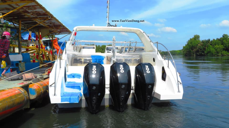 2023 Tan Vien Dong TVD-TER1385 en venta (photo 5)
