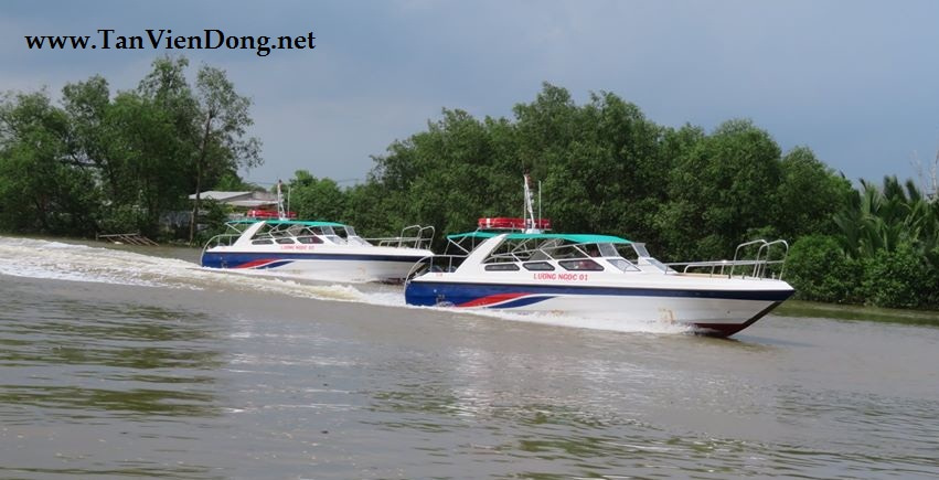 2023 Tan Vien Dong TVD-TER1190 en venta (photo 2)