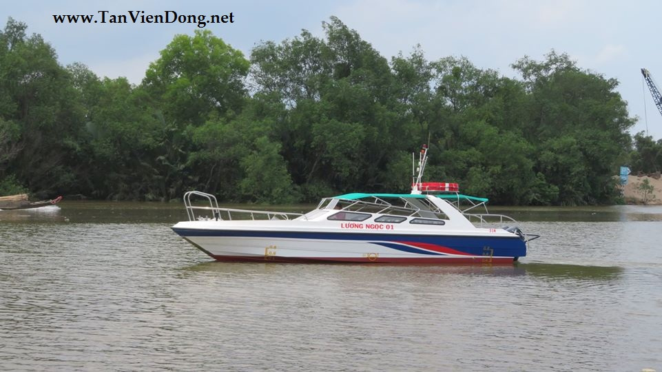 2023 Tan Vien Dong TVD-TER1190 en venta (photo 3)