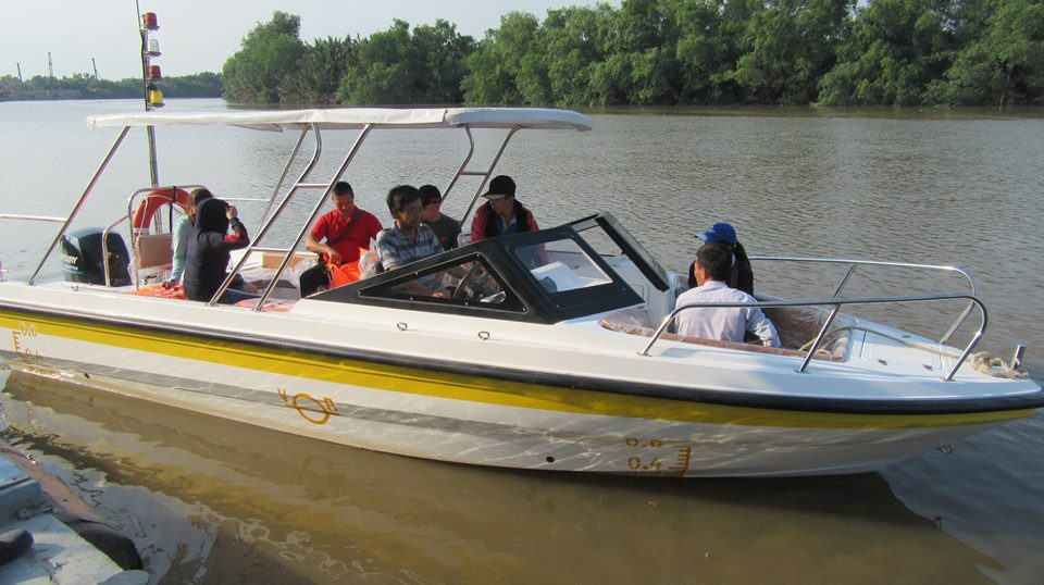 2019 Tan Vien Dong TVD-MAX767 à venda (photo 4)