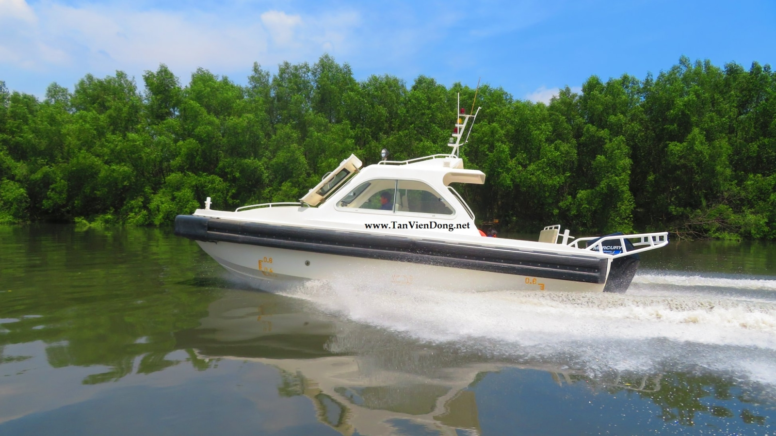 2019 Tan Vien Dong TVD-RIB927 en venta (photo 3)