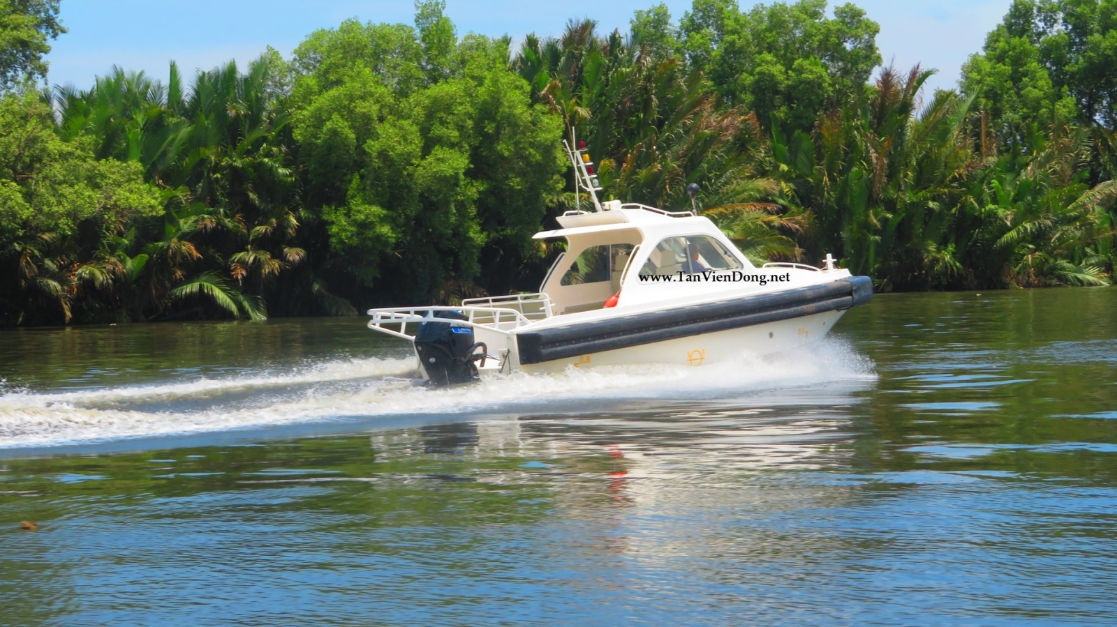 2019 Tan Vien Dong TVD-RIB927 en venta (photo 4)