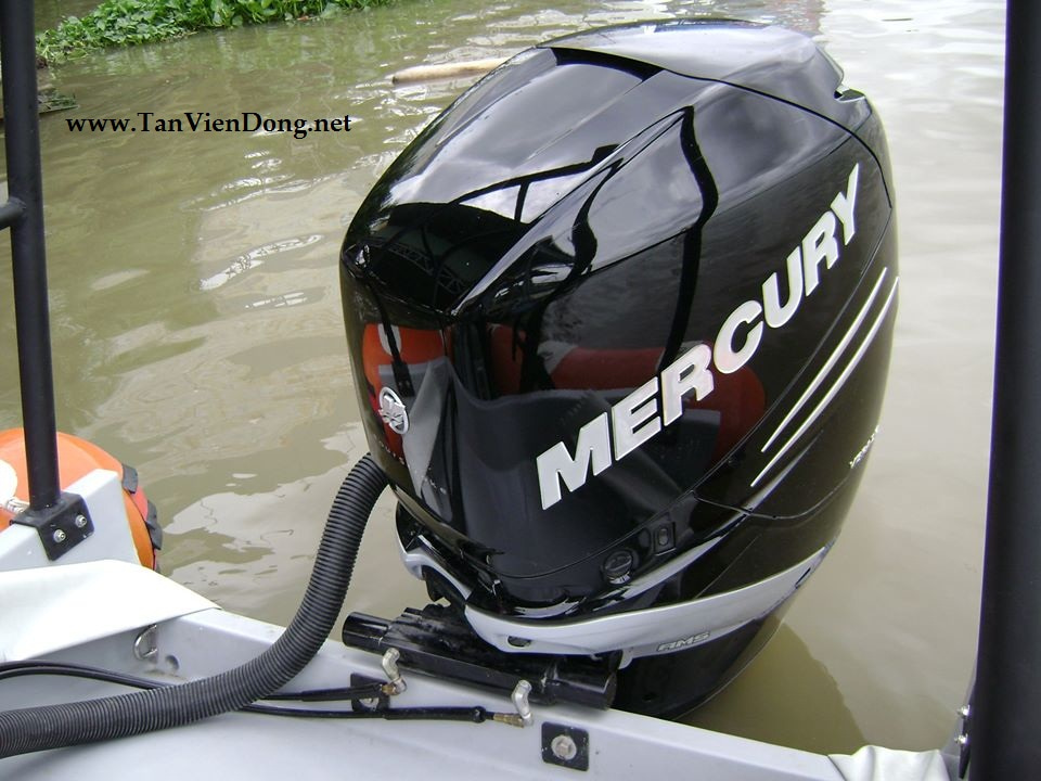 2023 Tan Vien Dong TVD-RIB650 à vendre (photo 9)