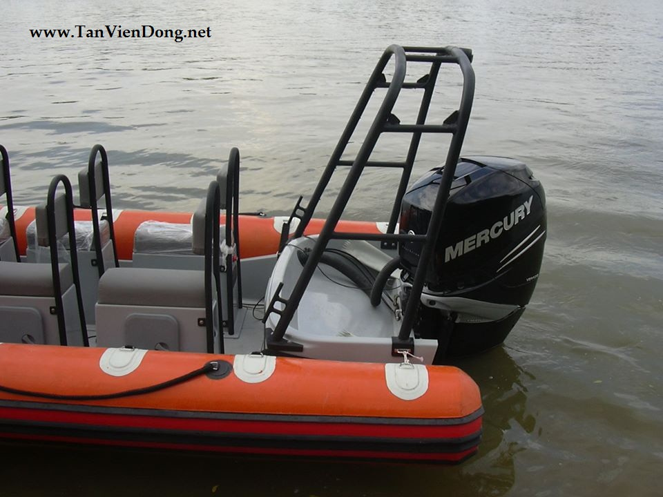 2023 Tan Vien Dong TVD-RIB650 à vendre (photo 10)