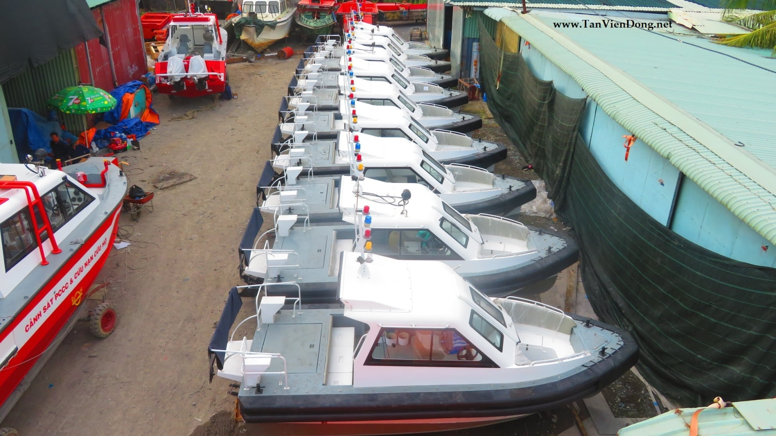 2021 Tan Vien Dong TVD-RIB630 en venta (photo 2)