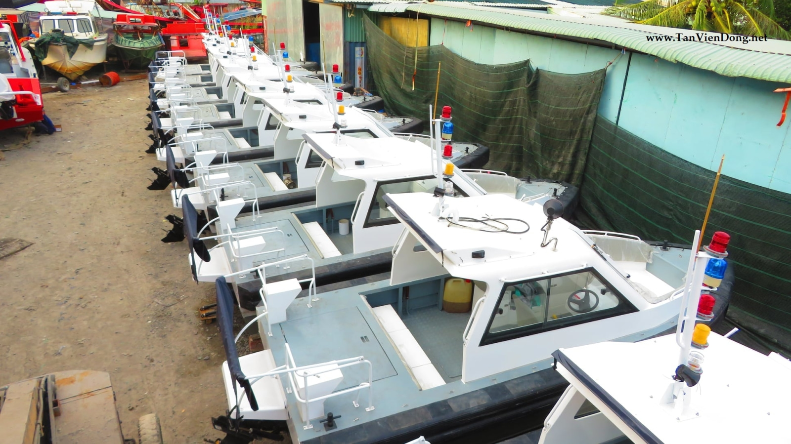 2021 Tan Vien Dong TVD-RIB630 en venta (photo 3)