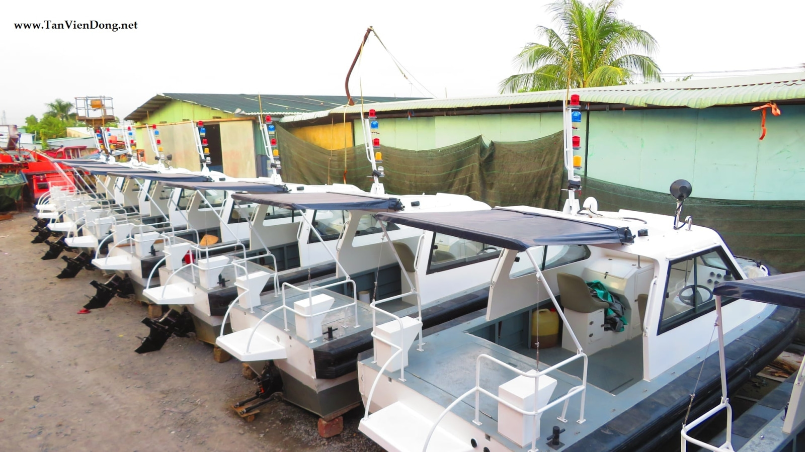 2021 Tan Vien Dong TVD-RIB630 en venta (photo 5)