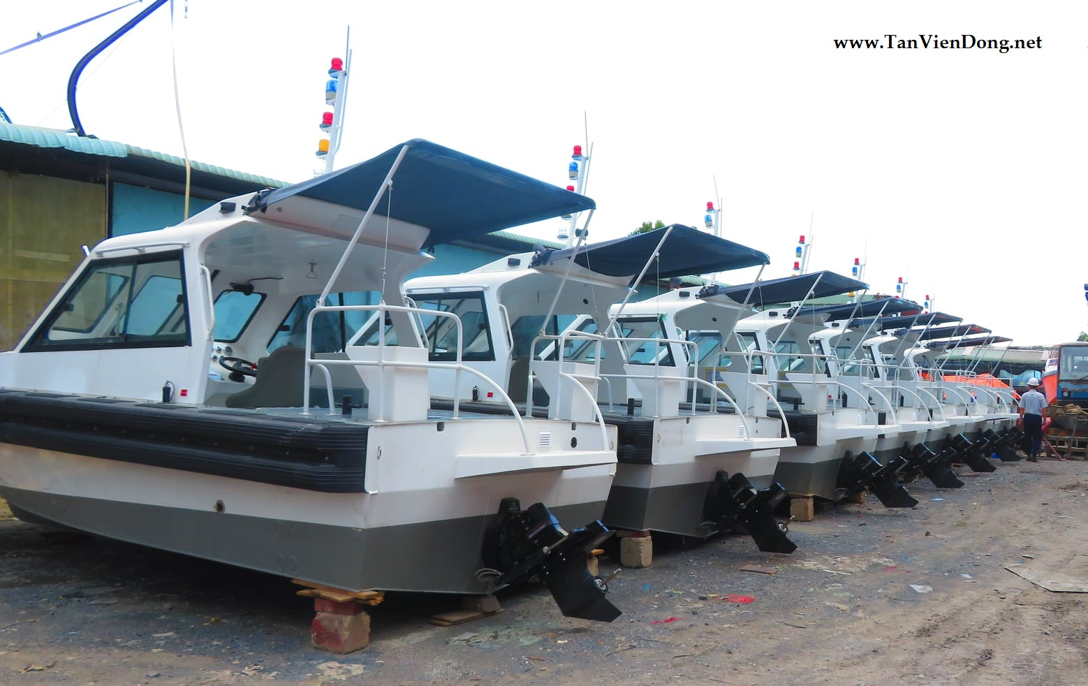 2021 Tan Vien Dong TVD-RIB630 en venta (photo 6)