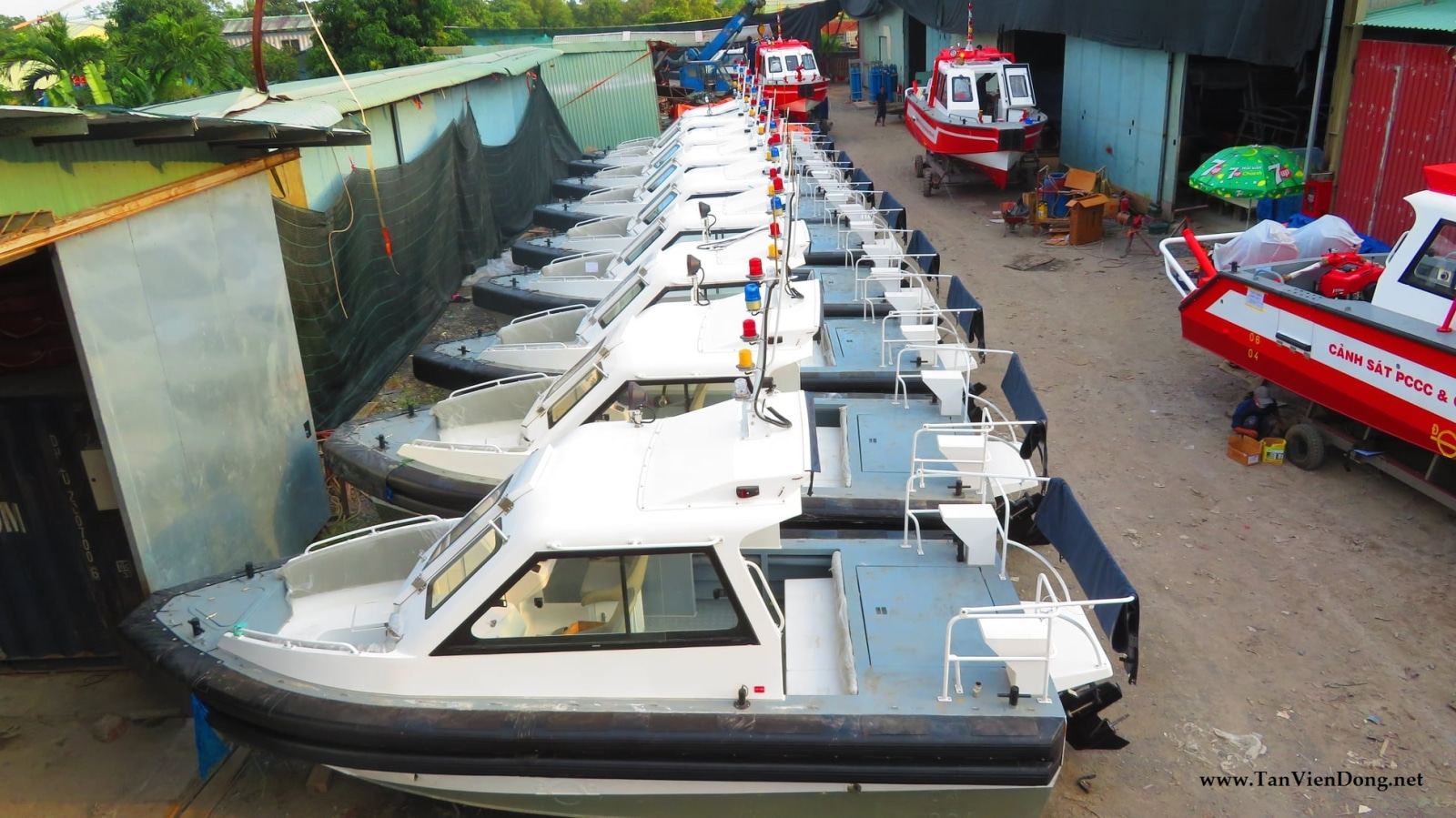 2021 Tan Vien Dong TVD-RIB630 en venta (photo 7)