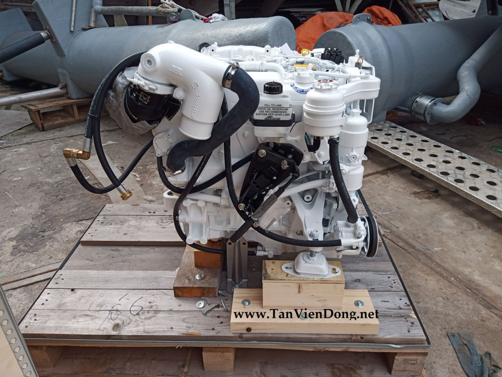 2021 Tan Vien Dong TVD-RIB630 en venta (photo 8)