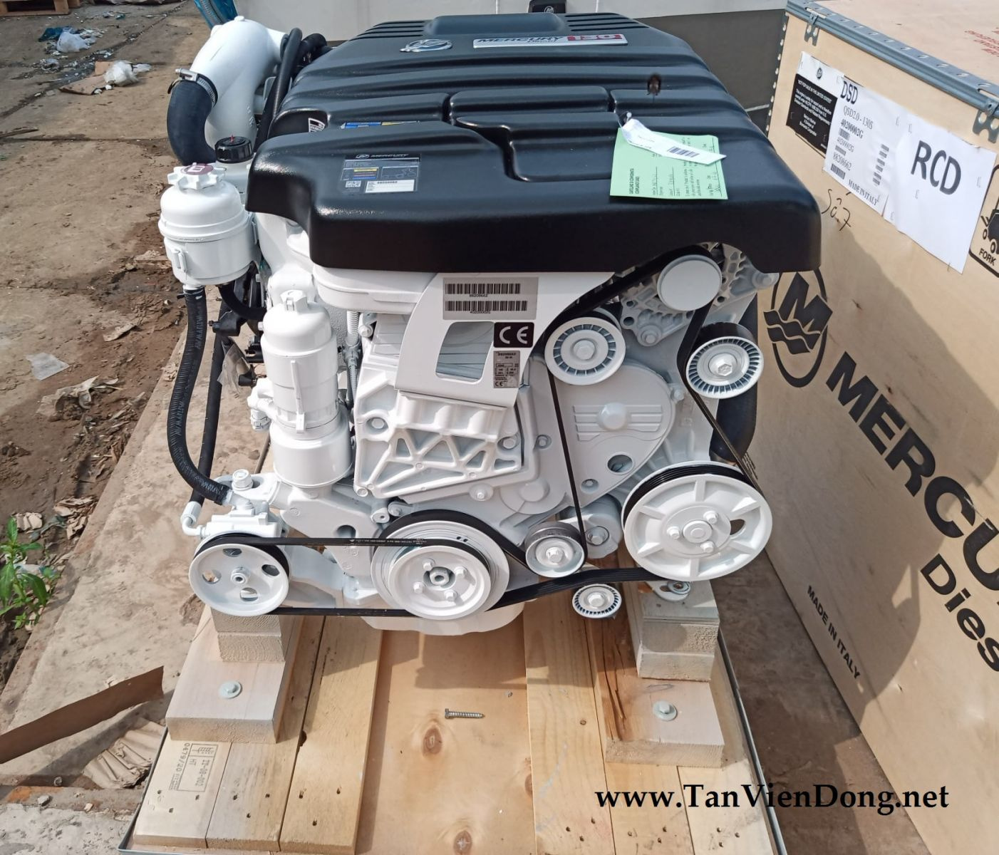 2021 Tan Vien Dong TVD-RIB630 en venta (photo 9)
