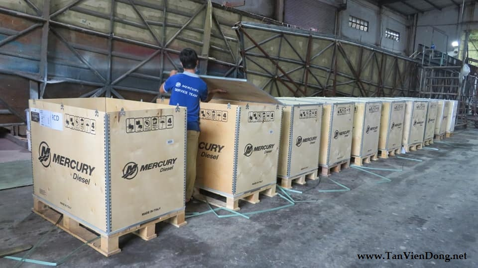 2021 Tan Vien Dong TVD-RIB630 en venta (photo 10)