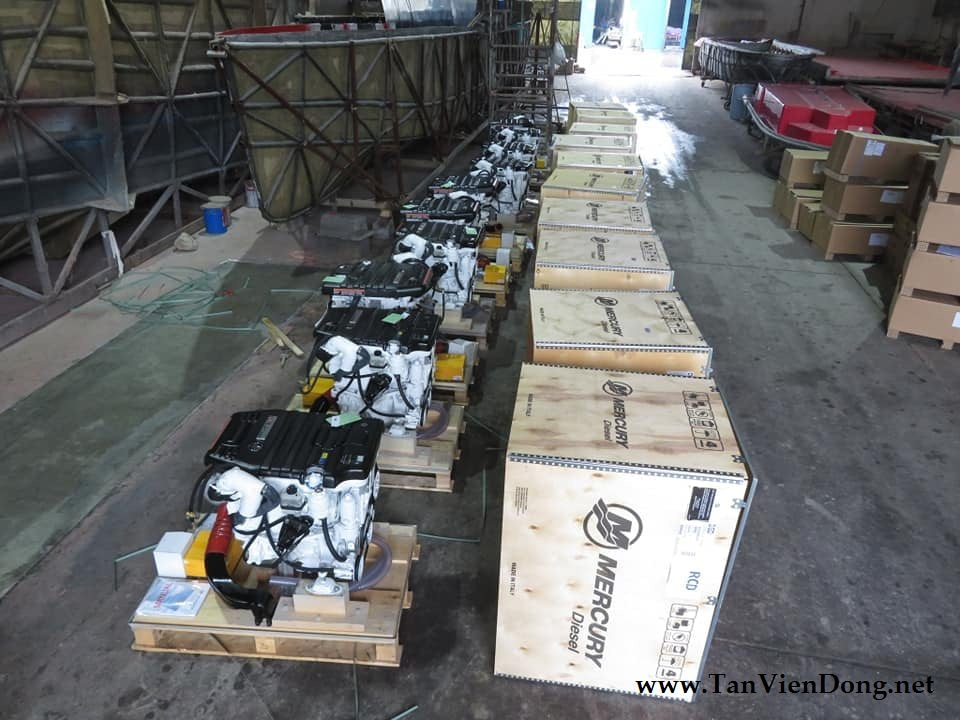 2021 Tan Vien Dong TVD-RIB630 en venta (photo 11)