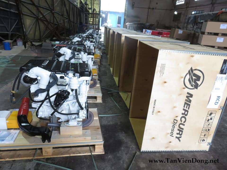 2021 Tan Vien Dong TVD-RIB630 en venta (photo 12)