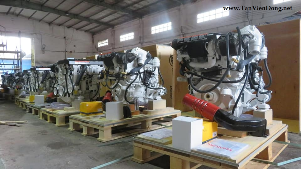 2021 Tan Vien Dong TVD-RIB630 en venta (photo 13)