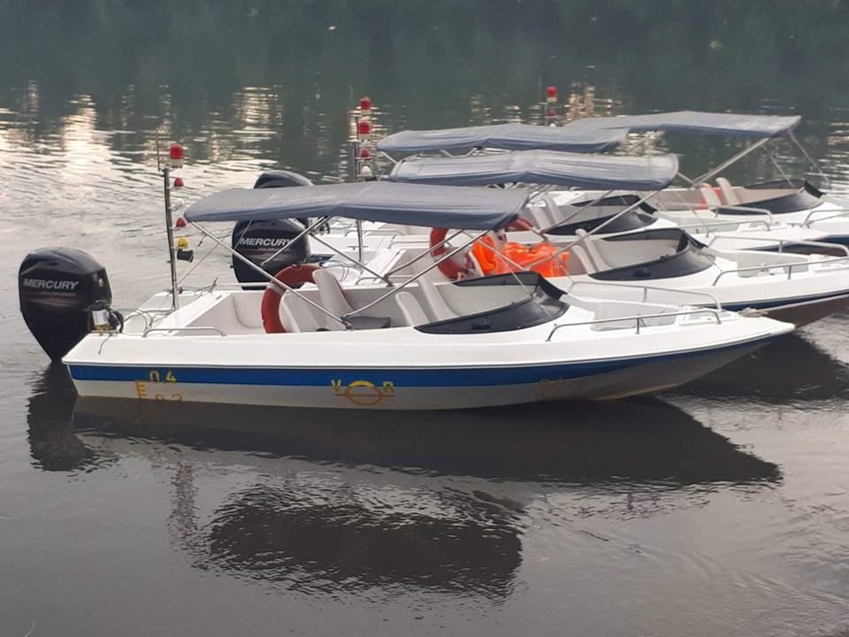 2023 Tan Vien Dong TVD-SEAGULL490 na sprzedaż (photo 5)