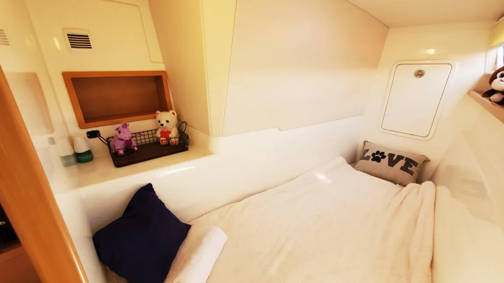 2026 Smart Cat S280 Sailing zu verkaufen (photo 34)