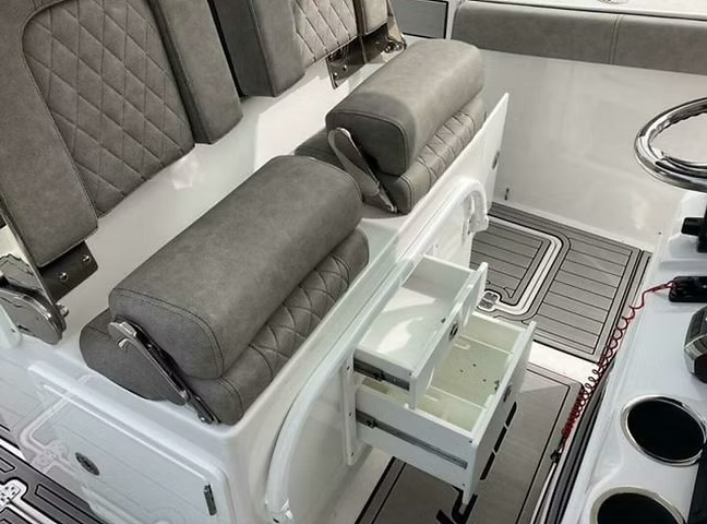 2022 Sea Pro 259 LX à vendre (photo 11)