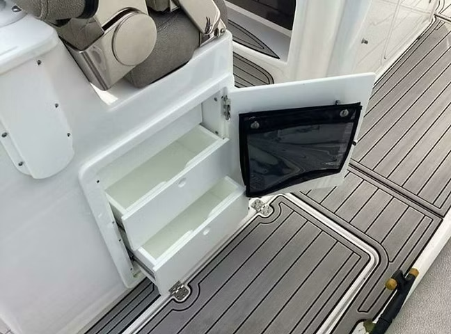 2022 Sea Pro 259 LX à vendre (photo 12)