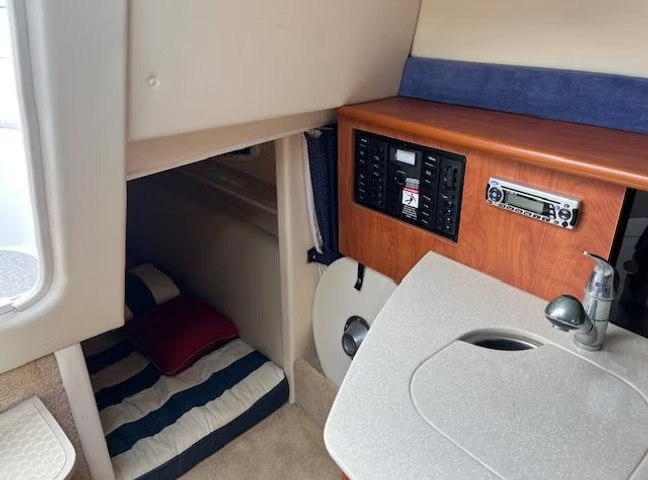 2008 Bayliner 265 en venta (photo 12)