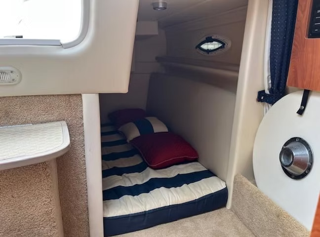 2008 Bayliner 265 en venta (photo 14)