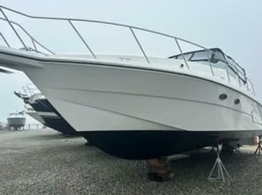 1999 Trojan 39 EC na sprzedaż (photo 2)