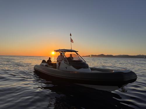 2025 SACS Strider 11 en venta (photo 3)