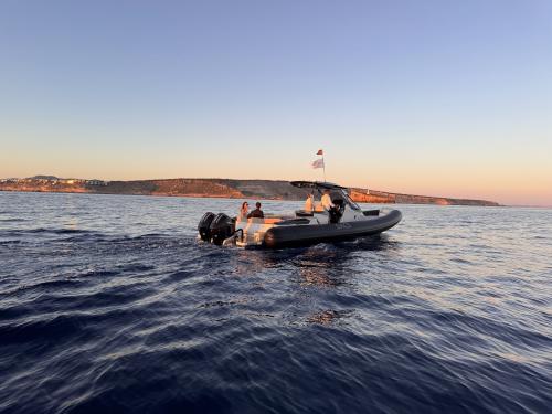 2025 SACS Strider 11 en venta (photo 6)