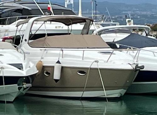 2008 Rinker 280 for sale (photo 3)