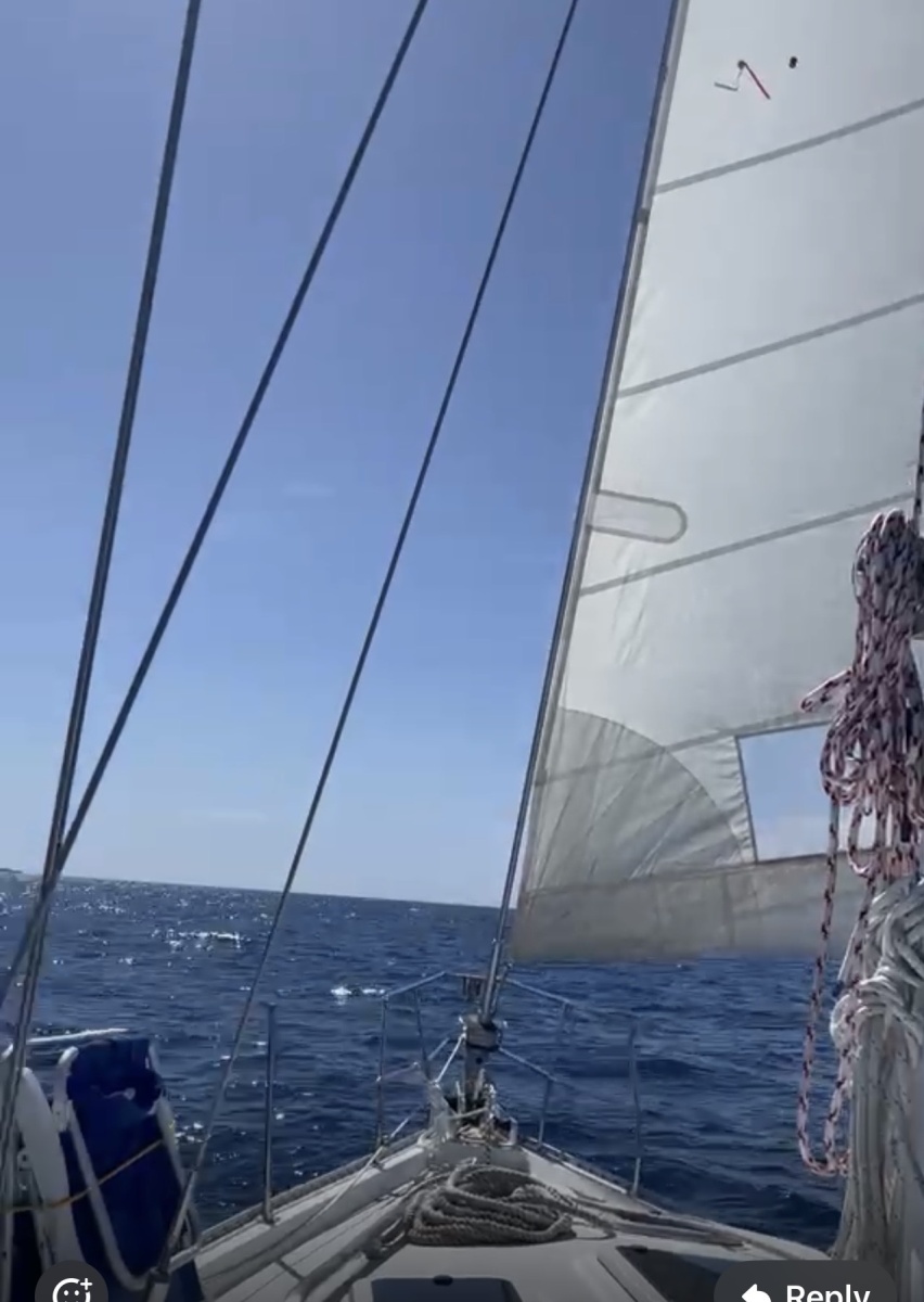 1991 Catalina Morgan 45 na sprzedaż (photo 12)