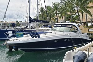 Sea Ray 455